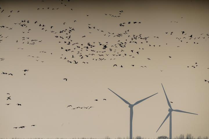 面对海上风电与陆上风电的施工、运行、管理差异