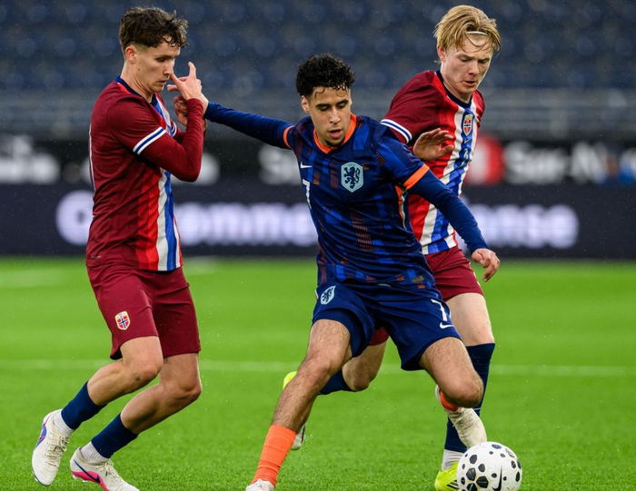 荷兰逆转挪威友谊赛 世界杯预选赛战绩亮眼